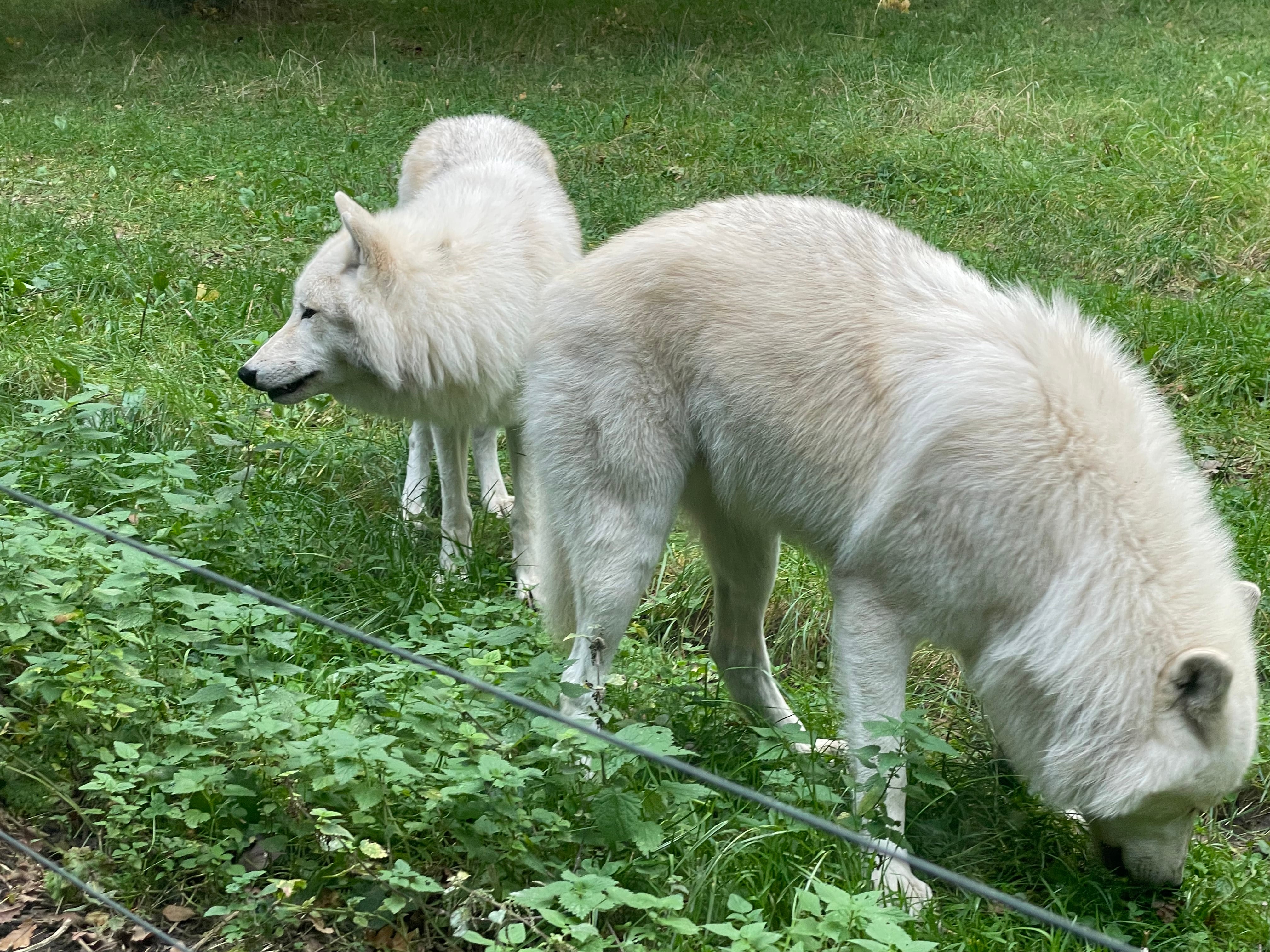 Naturens rytmer og dens påvirkning på vores krop